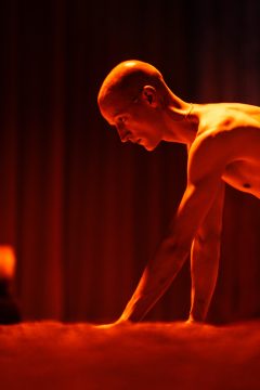 Foto von Dominik Puhl als Hund in "Mein Jahr der Ruhe und Entspannung"