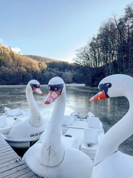 Foto mit drei weißen Tretbooten mit jeweils einem Schwanenkopf, See und Landschaft dahinter winterlich